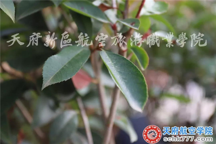 1543200798548397.jpg 微信圖片_20181126104813.jpg