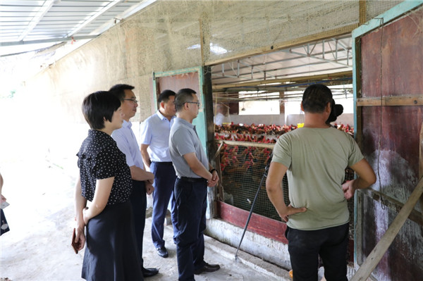 1565060146583941.jpg 666666666.jpg