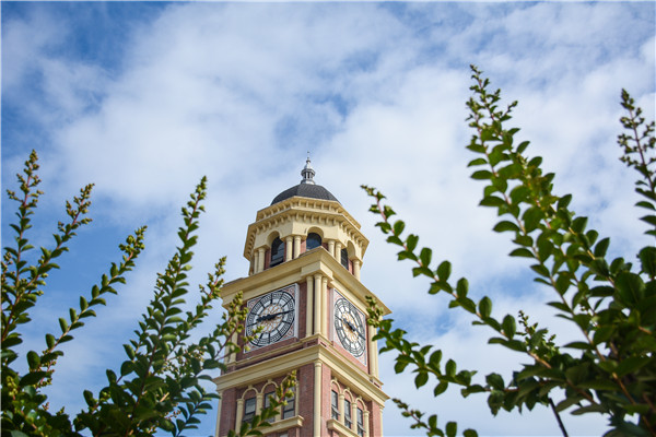 1576115964954832.jpg DSC_0498_副本.jpg