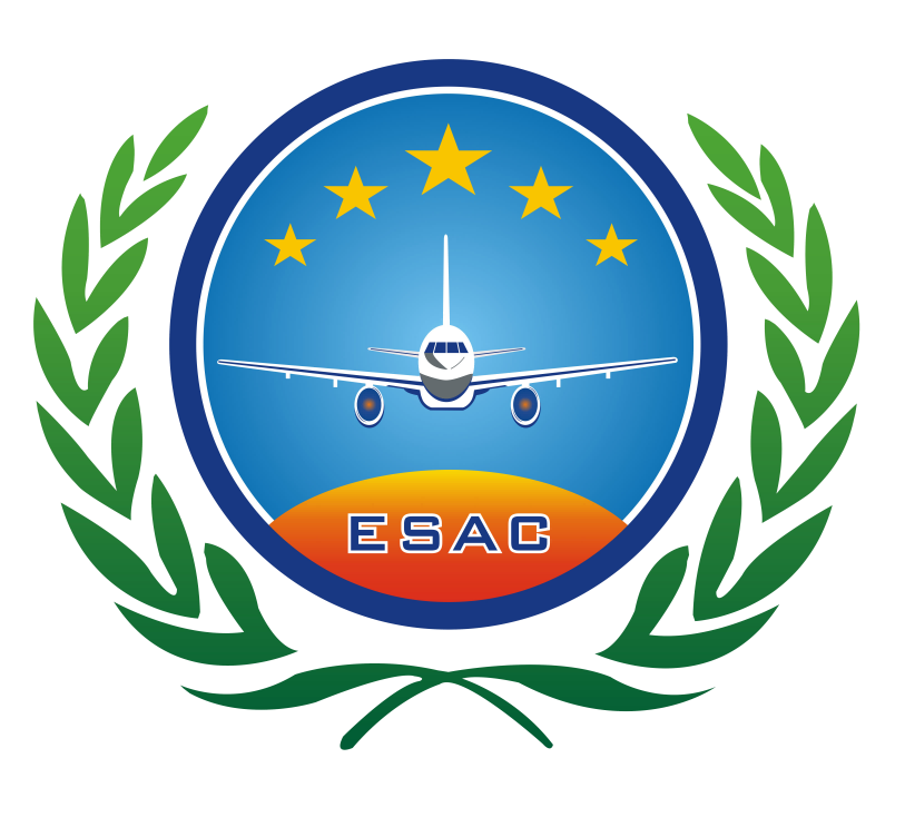 1676623030129121.png 東星航空最新標(biāo)志2017.3.30(1).png