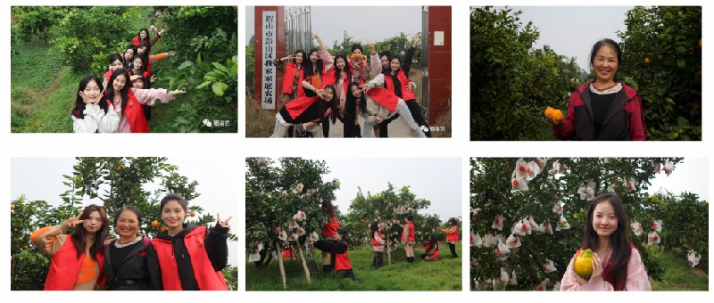 1704956538125725.jpg 13.jpg