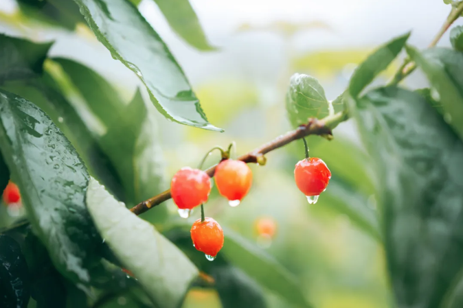 1714191292166489.png image.png