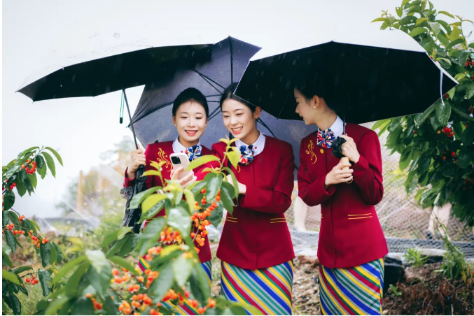 1714191397737995.png image.png