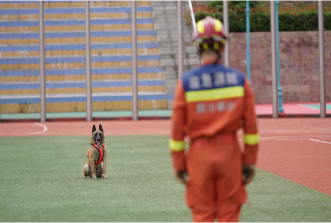 1718175551559068.png image.png