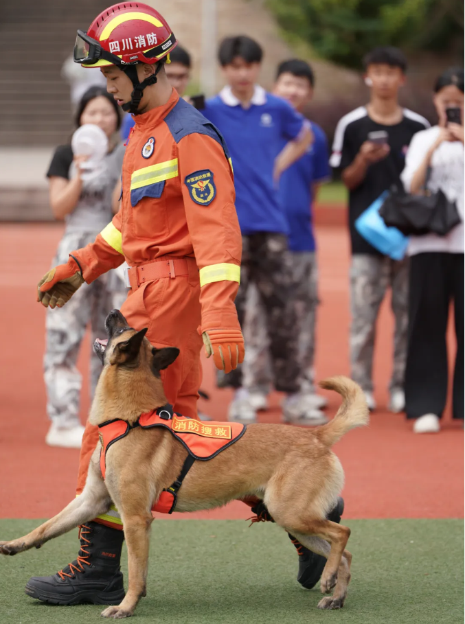 1718175569518920.png image.png