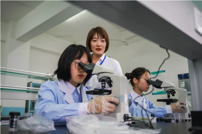 1718250622116319.png image.png