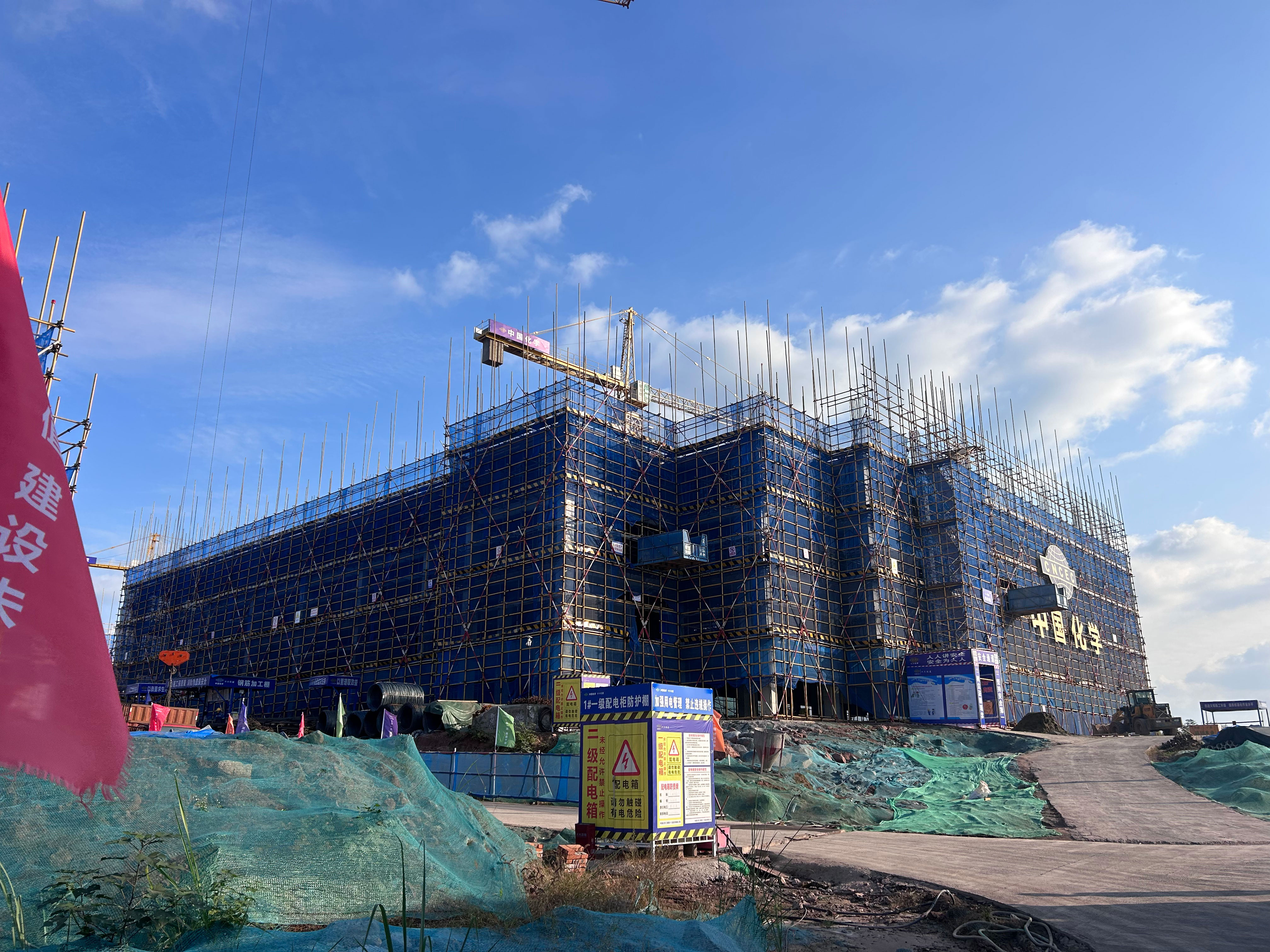 1733220257726290.jpg 7.jpg