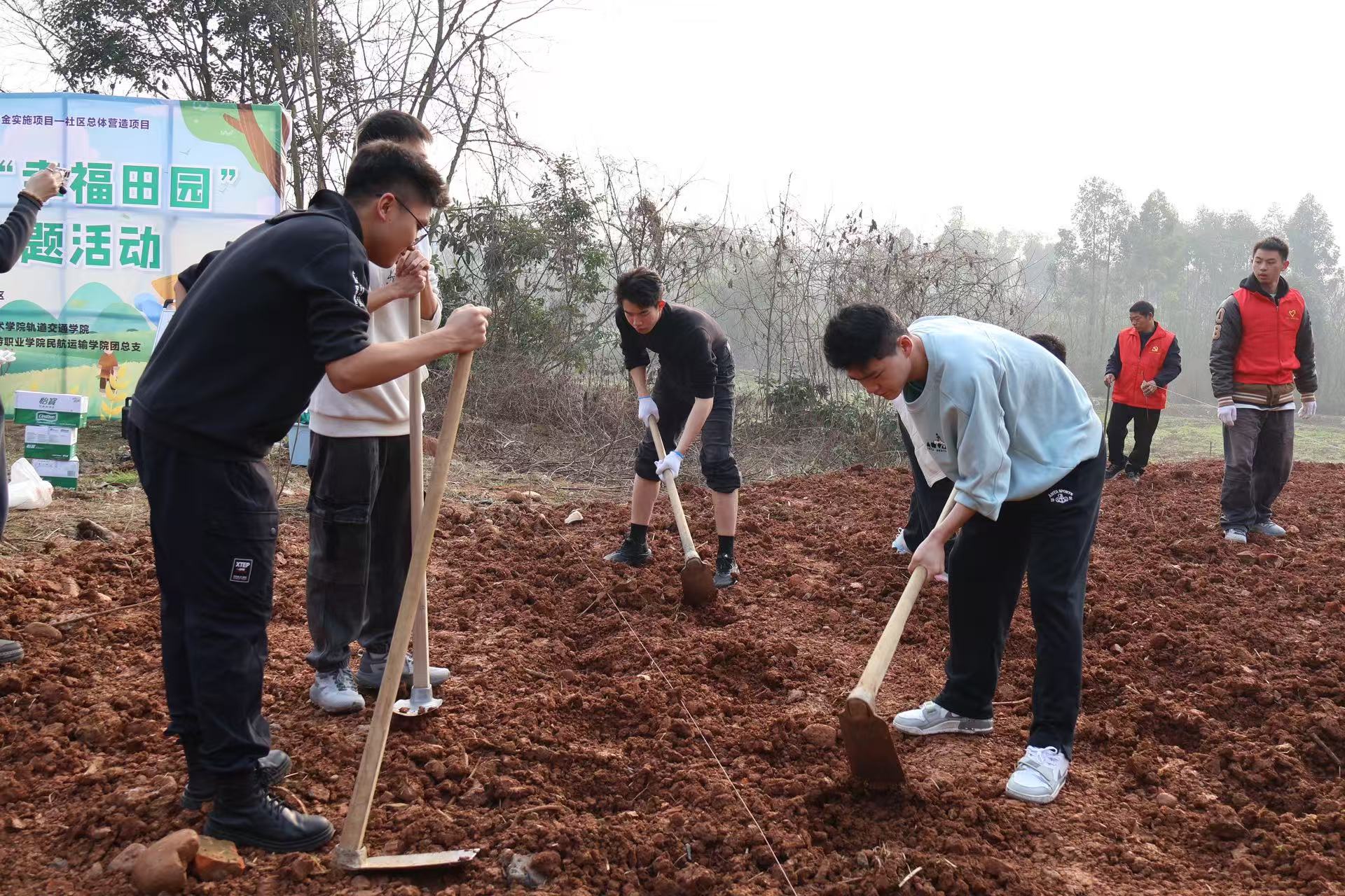 1740810563109834.jpg 82521740810475_.pic.jpg