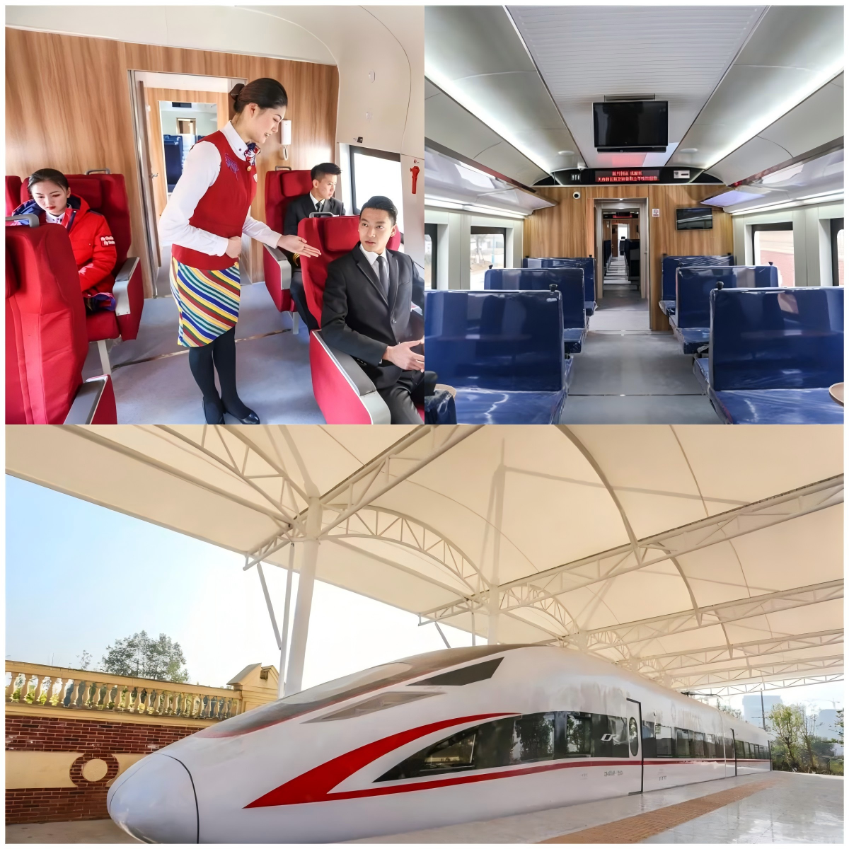 1741772906107230.png 1741772906107230.png