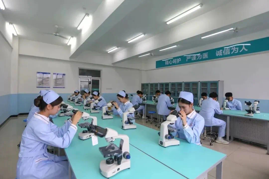 1742877090904614.jpg 83621742457094_.pic_hd.jpg