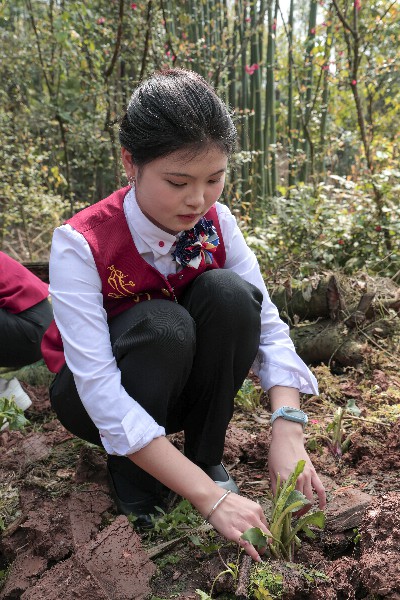 1743318712662259.jpg IL3A0679.jpg