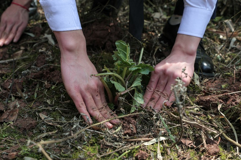 1743318722136832.jpg IL3A0705.jpg