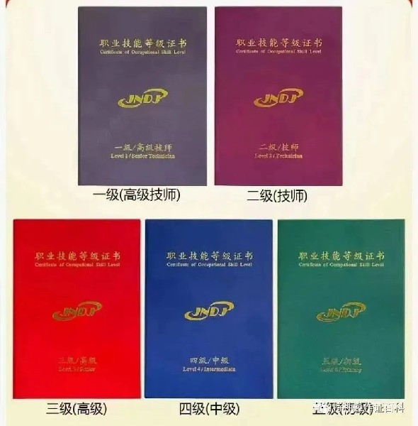 1743390169108323.jpg 9.jpg