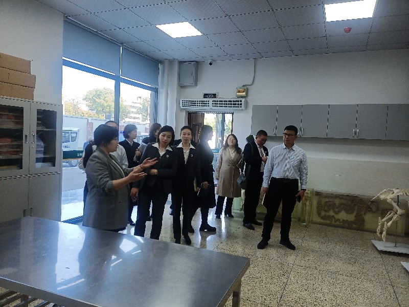 1743579305138738.jpg 32763f05ced9e759091161f2de92c1e3.jpg